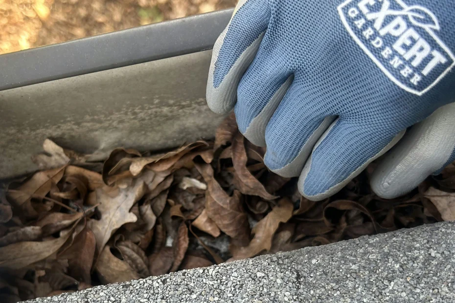 Gutter Cleaning Indian Harbour Beach FL