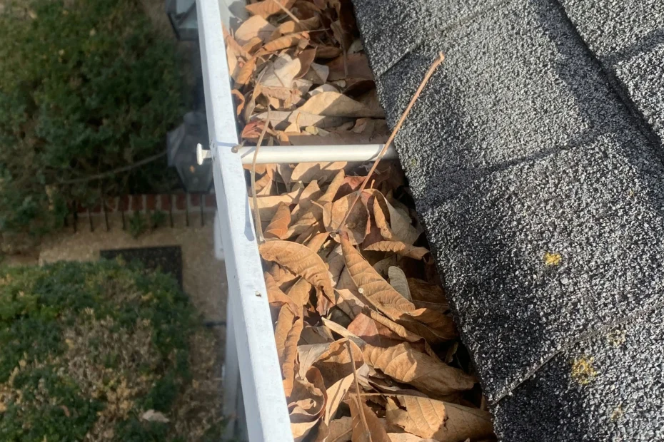 Gutter Cleaning Indian Harbour Beach FL